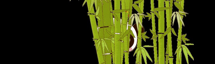 五大优质微信公众号,了解一下?